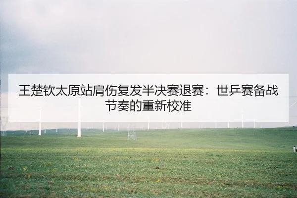 王楚钦太原站肩伤复发半决赛退赛：世乒赛备战节奏的重新校准